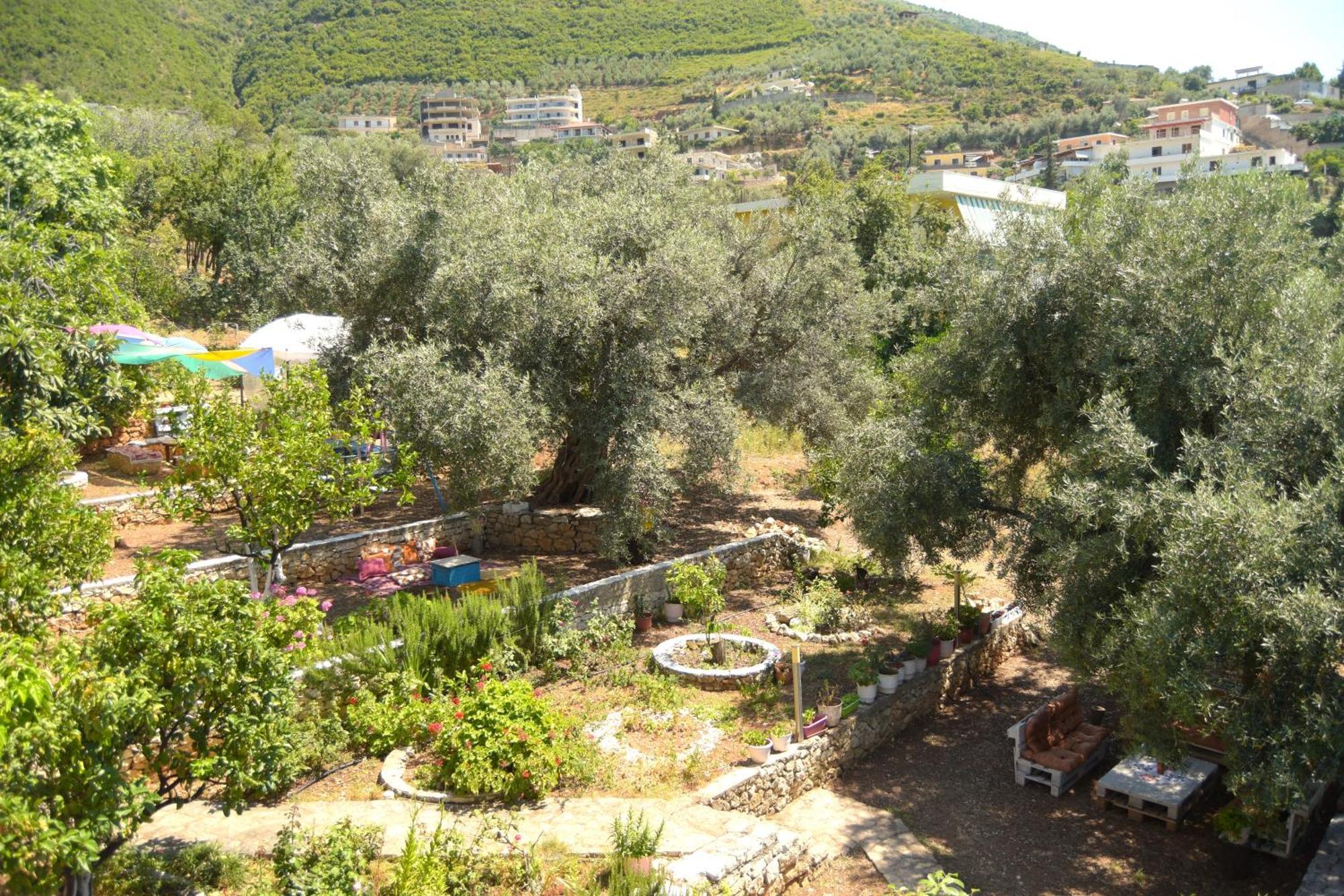 Apartamento Vila Toskaj Vlorë Exterior foto